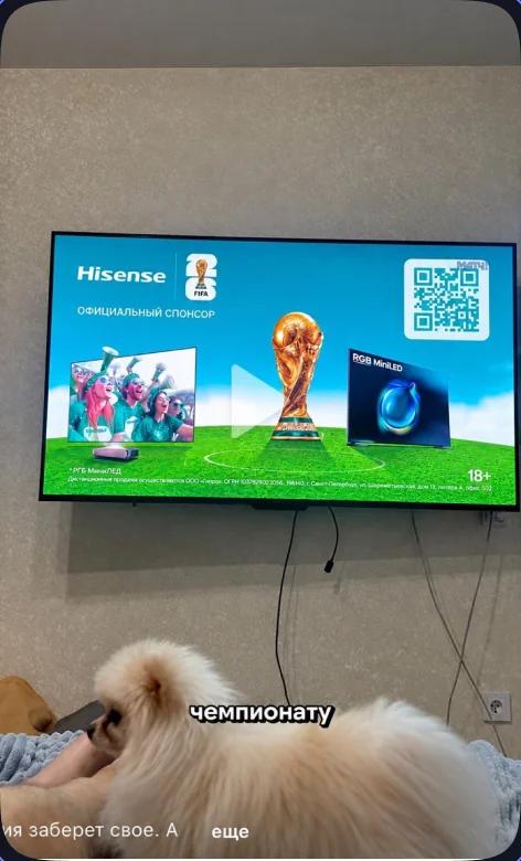 Реклама Hisense — официального спонсора FIFA — на экране телевизора